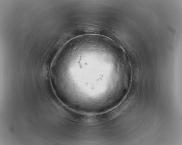 X0000115060273200911091452