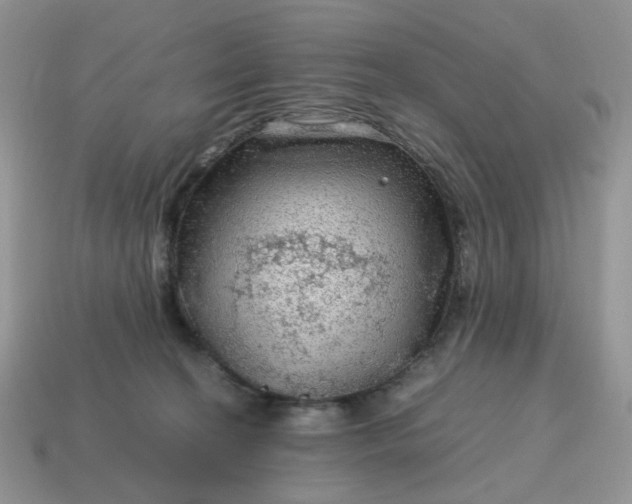 X0000115060274200911091453