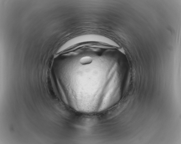 X0000115060275200911091453