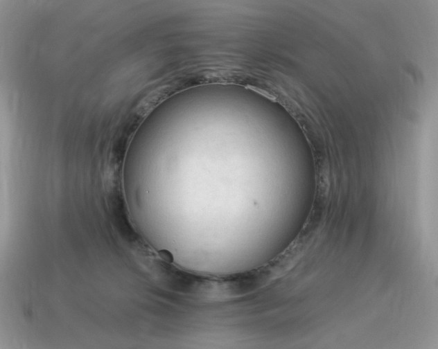 X0000115060276200911091453