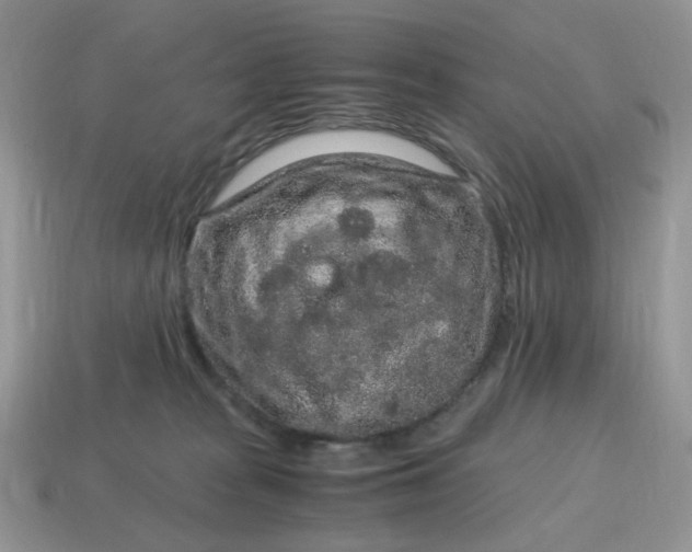 X0000115060277200911091453