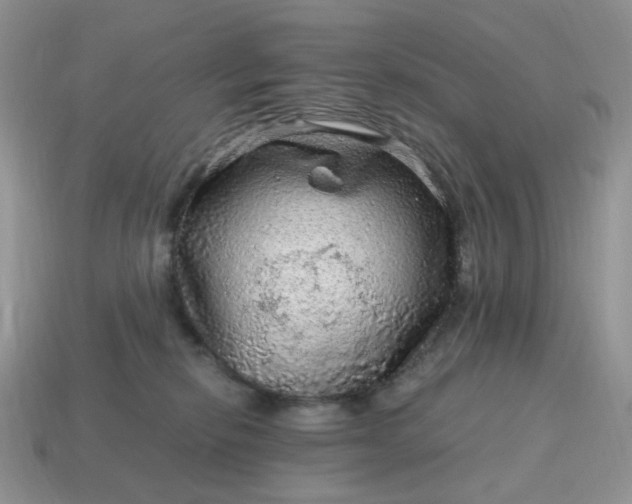 X0000115060278200911091453