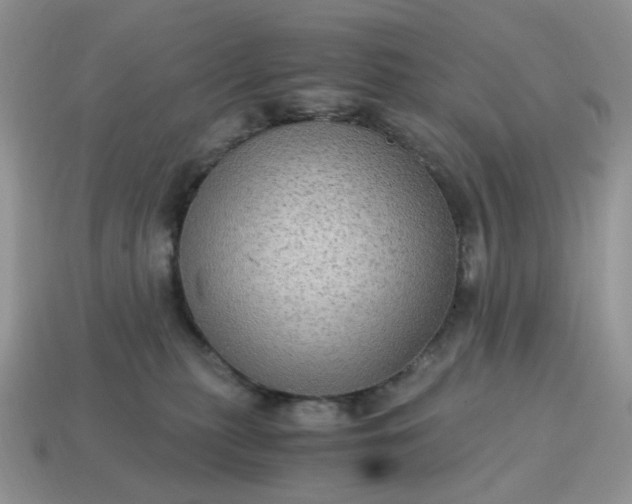 X0000115060279200911091453