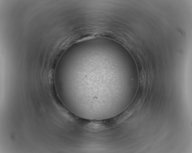 X0000115060280200911091453