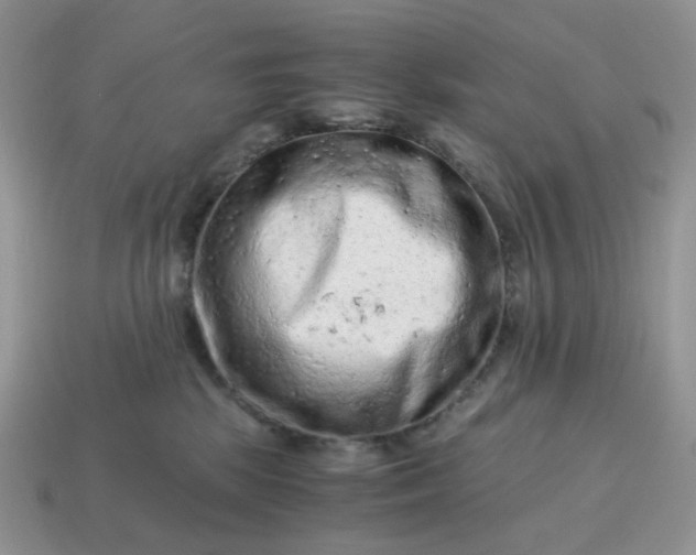 X0000115060281200911091453