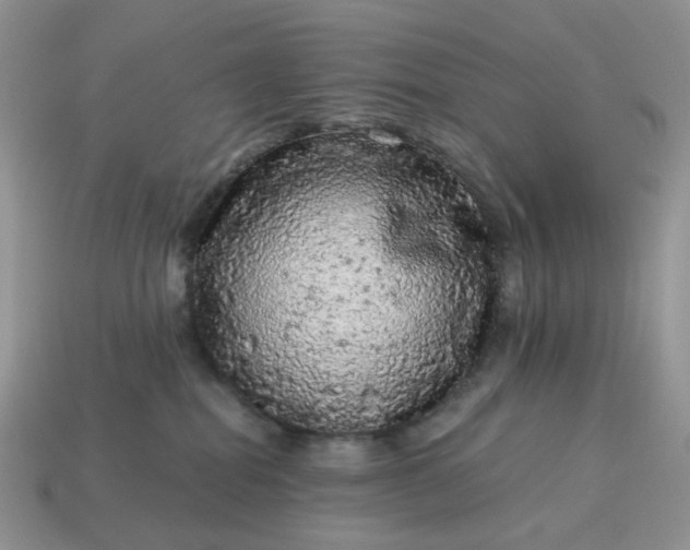 X0000115060282200911091453