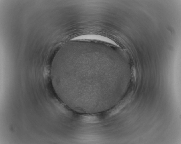 X0000115060284200911091453