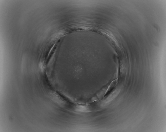 X0000115060285200911091453