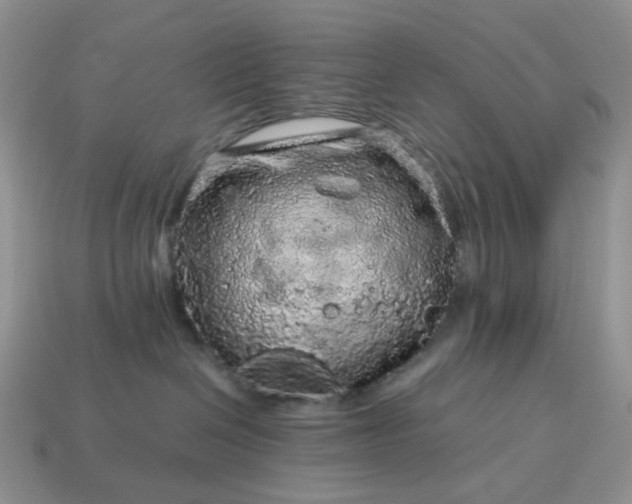 X0000115060286200911091453