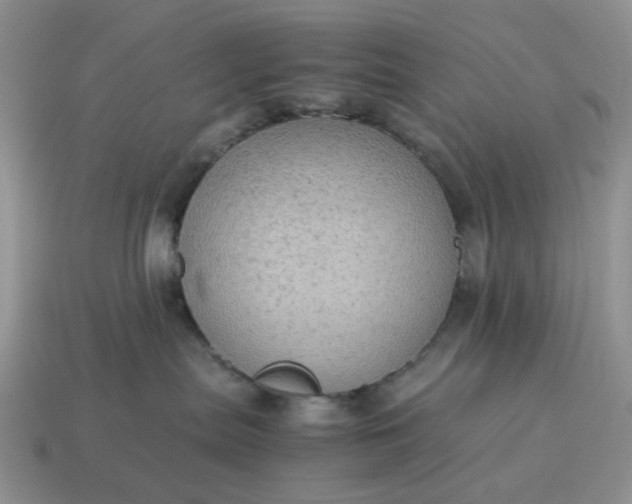 X0000115060287200911091453