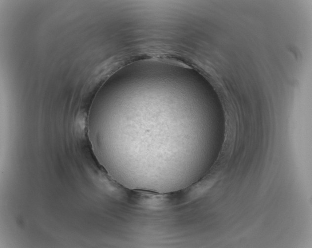 X0000115060288200911091453