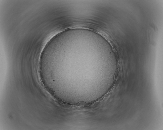 X0000115060289200911091452