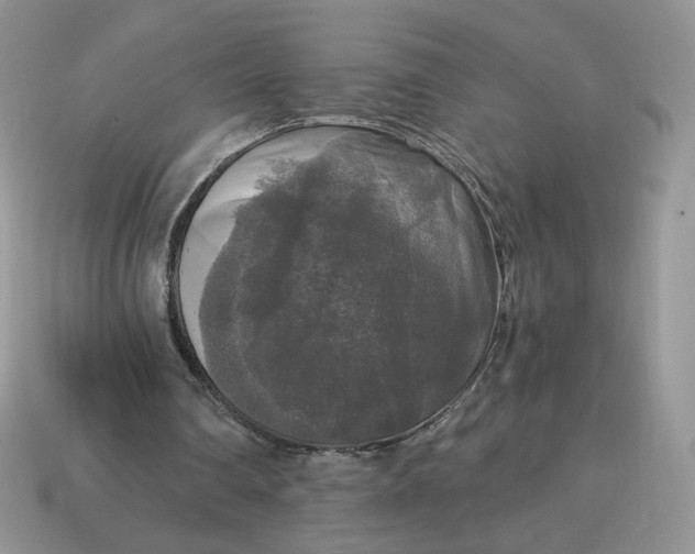 X0000115060290200911091452