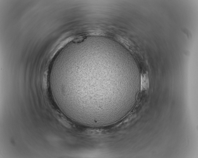 X0000115060291200911091452