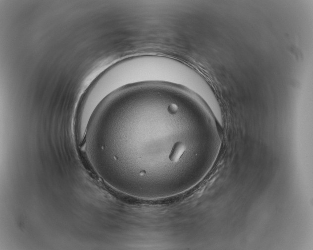 X0000115060292200911091452