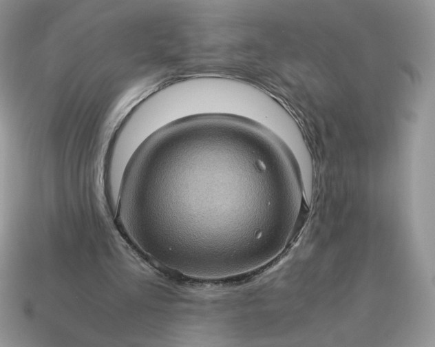 X0000115060293200911091452