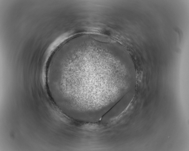 X0000115060294200911091452