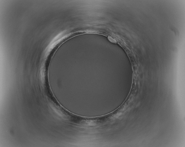 X0000115060295200911091452