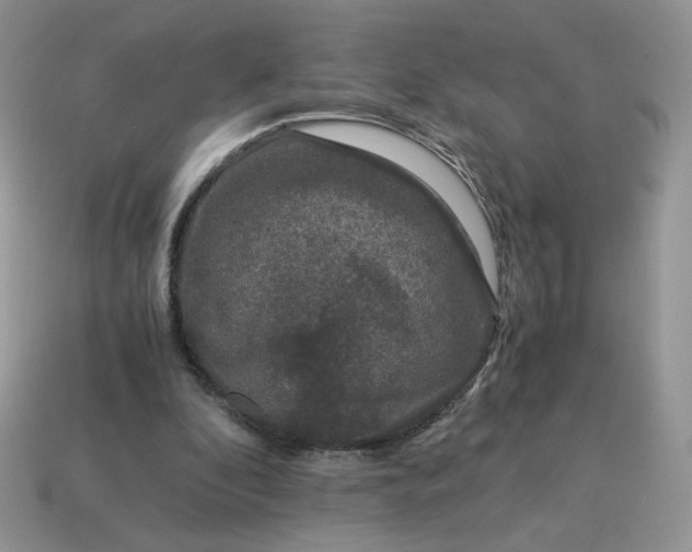 X0000115060296200911091452