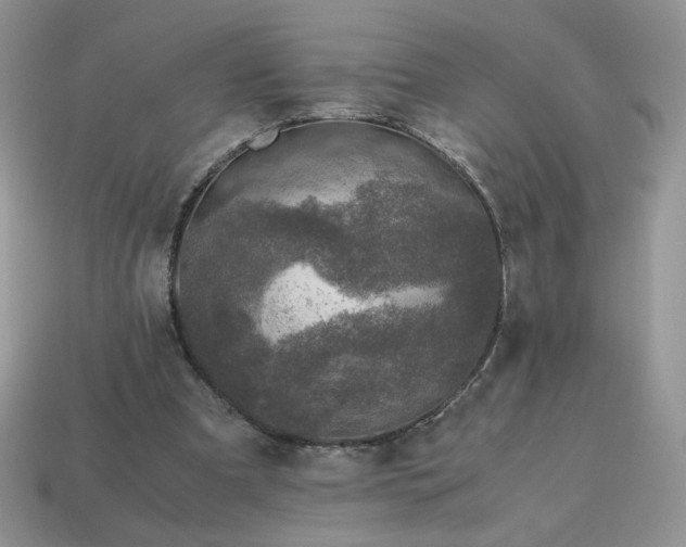 X0000115060297200911091452