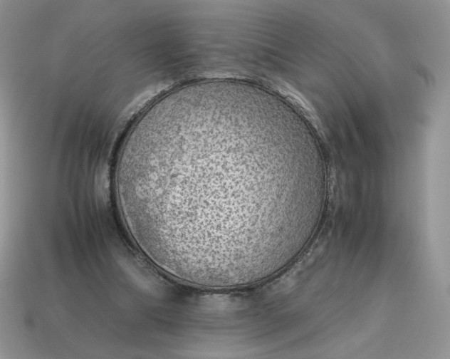 X0000115060298200911091452