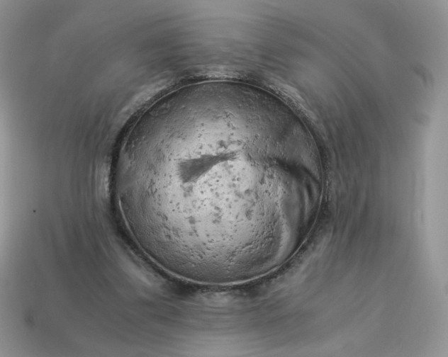 X0000115060299200911091452