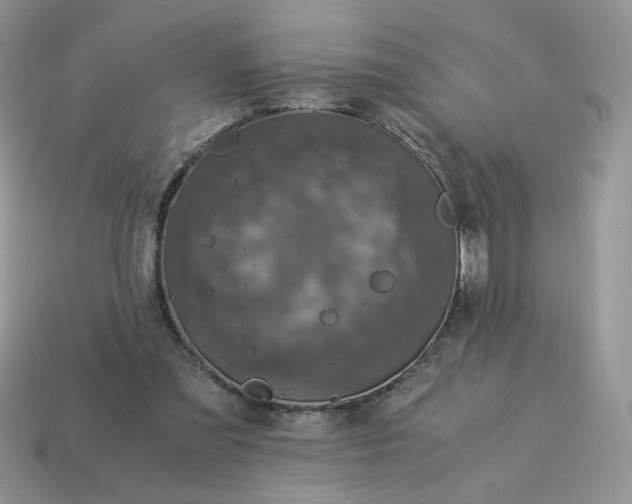 X0000115060301200911091452