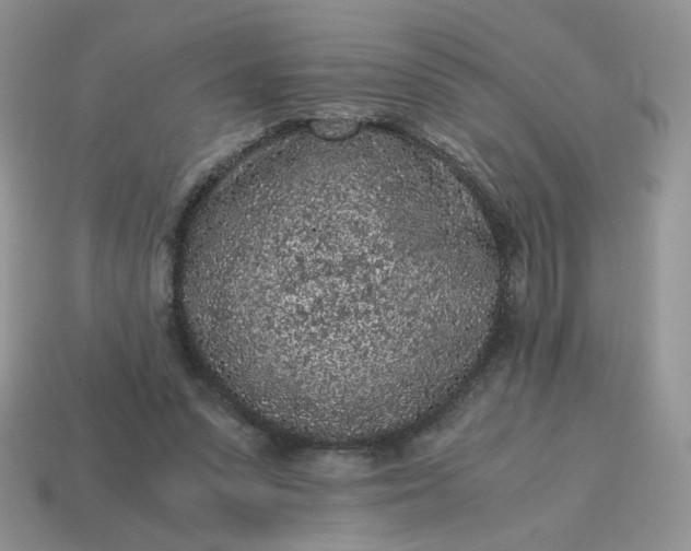 X0000115060303200911091452