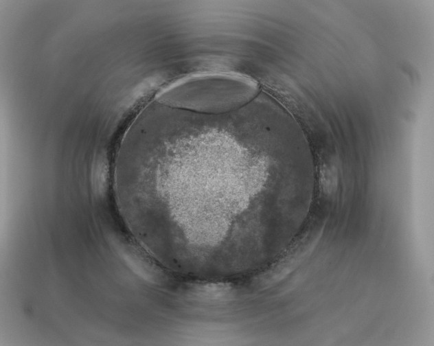 X0000115060304200911091452