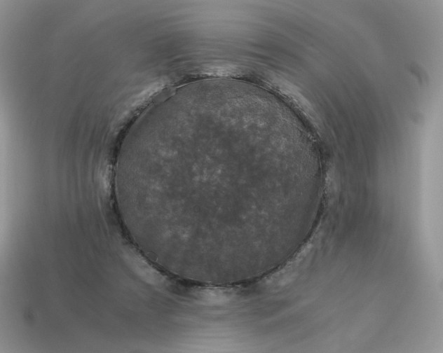 X0000115060305200911091452