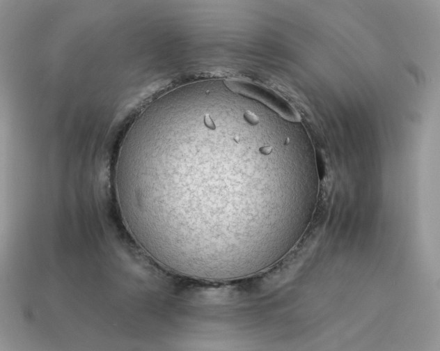 X0000115060306200911091452