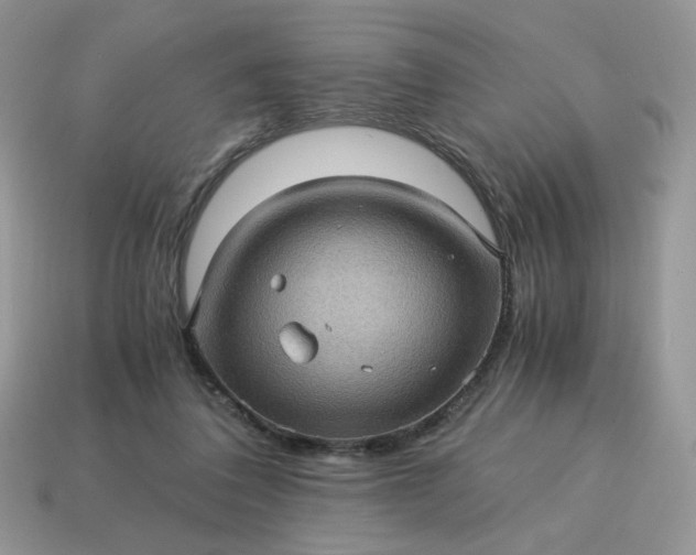 X0000115060308200911091452