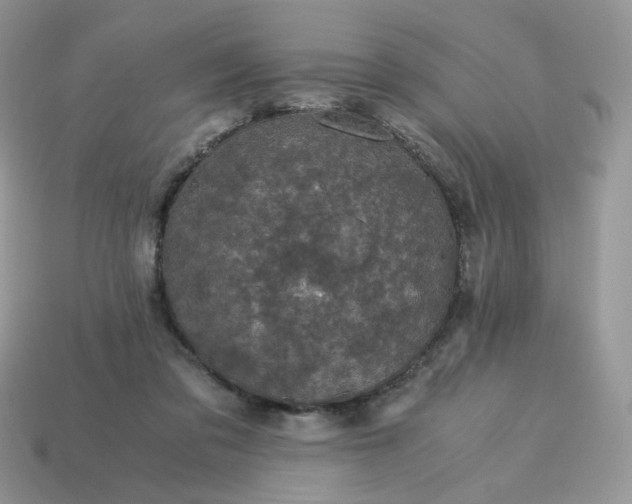 X0000115060309200911091452