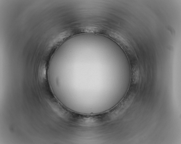 X0000115060310200911091452