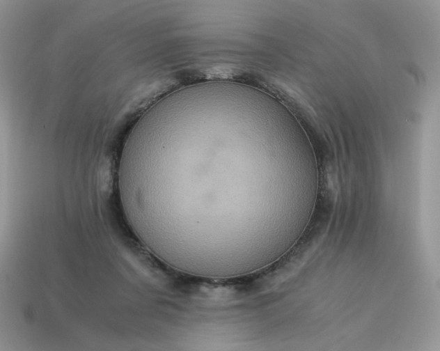 X0000115060311200911091452