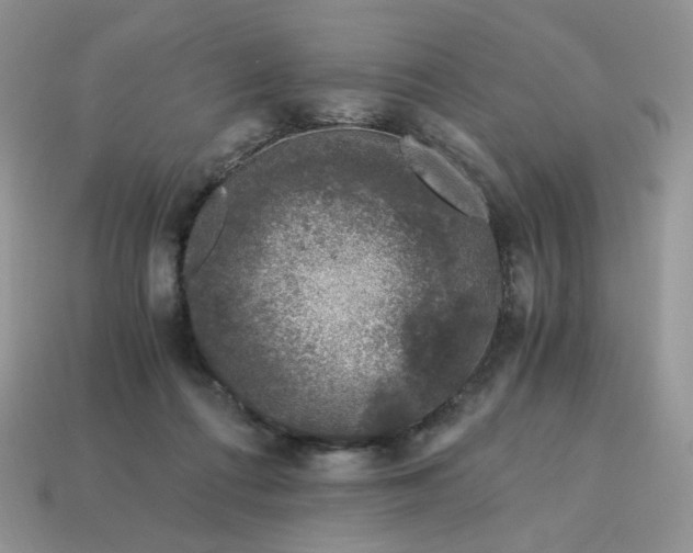 X0000115060312200911091452