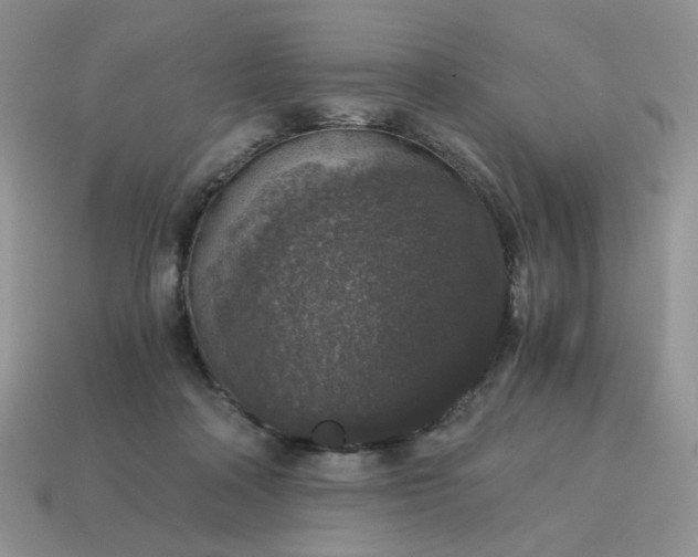 X0000115060314200911091452