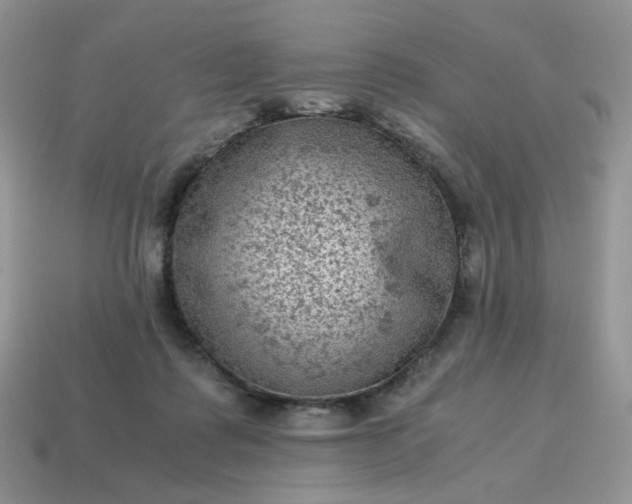 X0000115060315200911091452