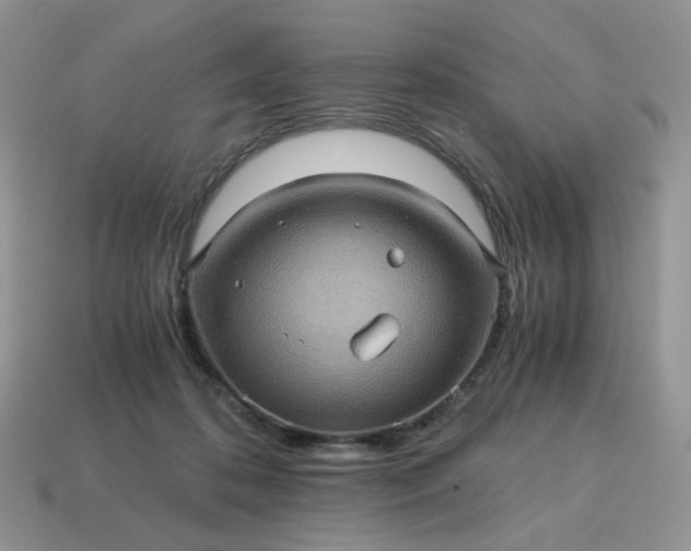 X0000115060316200911091452