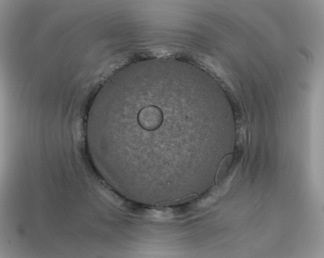 X0000115060317200911091452