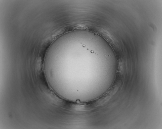 X0000115060318200911091452