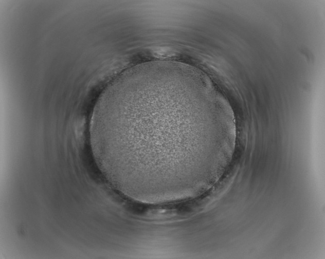 X0000115060319200911091452