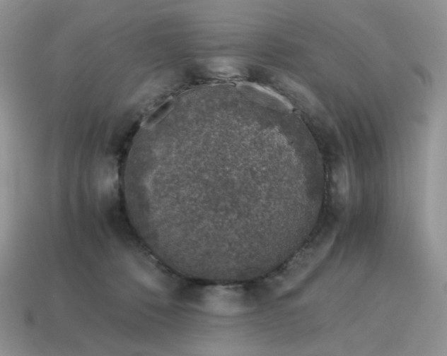 X0000115060320200911091452