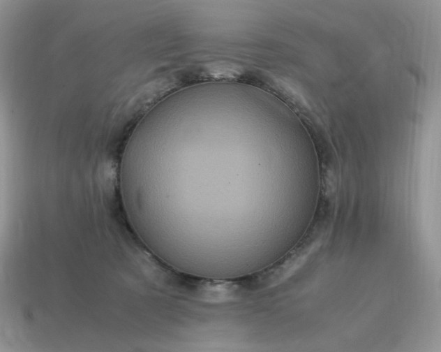 X0000115060321200911091452