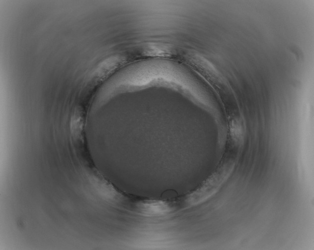 X0000115060322200911091452