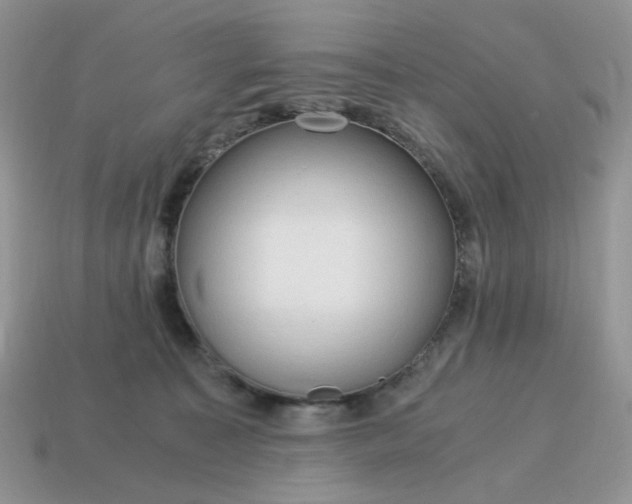 X0000115060323200911091452