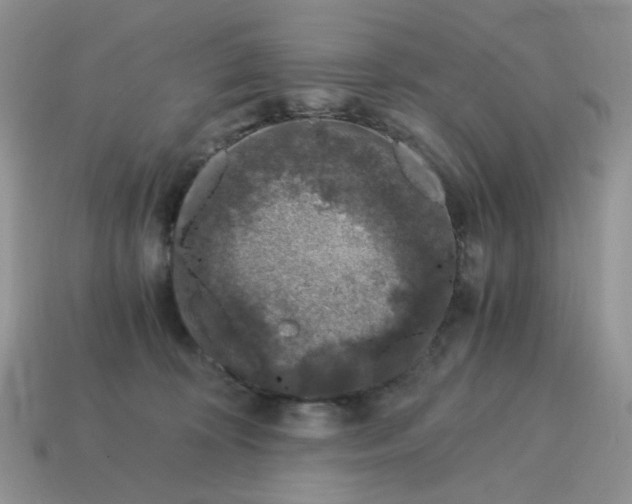 X0000115060324200911091452