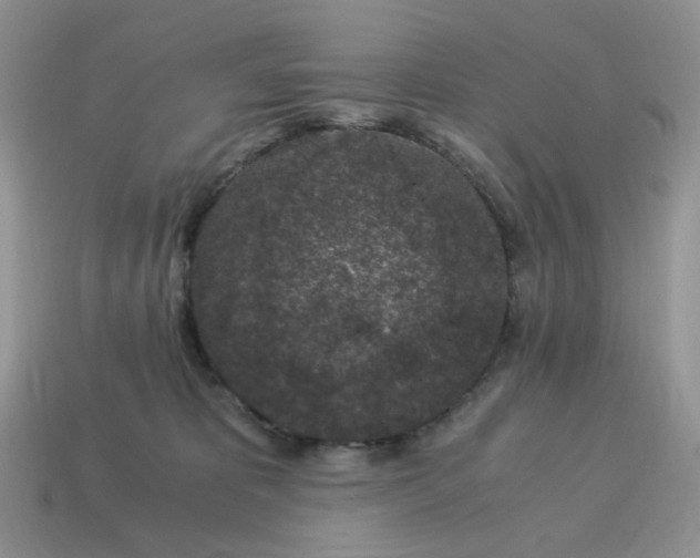 X0000115060325200911091452