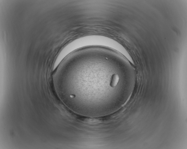 X0000115060327200911091452