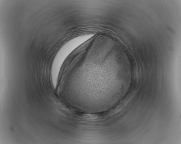 X0000115060328200911091452